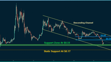 Ripple Rückgang um 42 % in einer Woche, was kommt als nächstes?