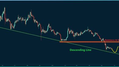 Ripple's Rollercoaster geht weiter, aber sind 0,3 $ Inbound? (XRP-Preisanalyse)