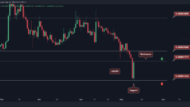 SHIB-Achterbahn fährt nach täglichem Einbruch von 25 % fort, was kommt als nächstes? (Shiba Inu Preisanalyse)