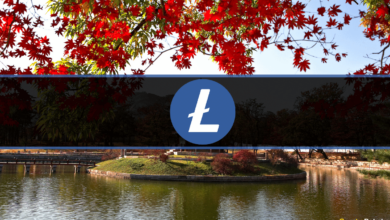 Südkoreanische Krypto-Börsen geben nach dem MWEB-Update von Litecoin Investitionswarnungen heraus