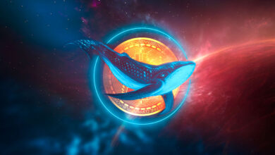 Wale sammeln leise ApeCoin, Loopring und fünf weitere Ethereum-basierte Altcoins, laut WhaleStats