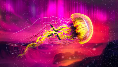 XRP-Wale auf Accumulation Binge As Ethereum (ETH) zeigt laut Crypto Analytics Firm ein bullisches Signal