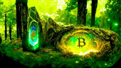 Kryptoanalyst Michaël van de Poppe sagt Bitcoin, Ethereum und ein ETH-Konkurrent stehen kurz vor dem Sprung
