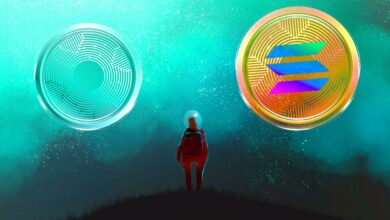 Solana (SOL) vs. Near Protocol (NEAR) – Coin Bureau Host Analysen Top Ethereum Rivalen