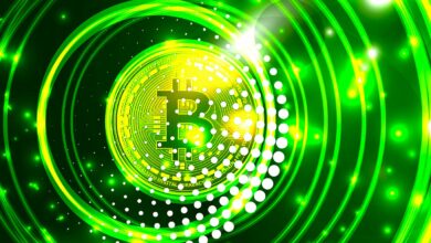 Der erfahrene Trader Tone Vays aktualisiert die Bitcoin-Prognose, da BTC bei 20.000 $ festhält