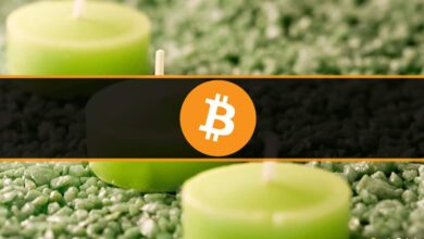 Bitcoin bei 30.000 $ auf dem Weg zur ersten grünen Woche nach 9 Uhr in Rot (Market Watch)