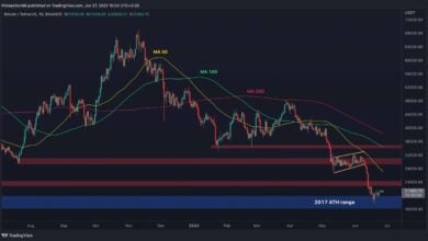 Bitcoin fällt unter 20.000 $, kommt ein weiterer Crash? (BTC-Preisanalyse)