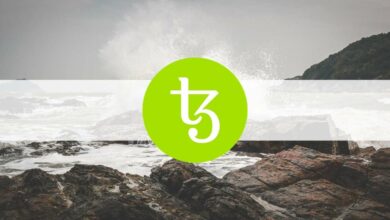 Bitcoin ist in Richtung 20.000 $ gesunken, Tezos (XTZ) springt um 9 %: Marktbeobachtung