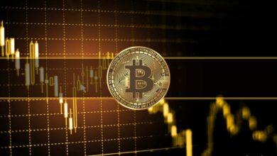 Bitcoin machte in diesem unterbewerteten Gebiet nur 3% seiner Existenz aus