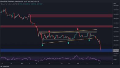 Bitcoin stürzt täglich um 13 % ab, kommen 20.000 $ als nächstes? (BTC-Preisanalyse)
