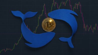 CEL überholte LINK als das meistgehandelte Token von Walen, welches soll man kaufen?