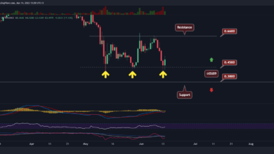 Dead Cat Bounce oder Recovery für ADA nach 9 % täglichem Anstieg?