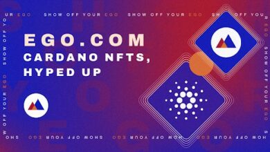 EGO Com - Ein Cardano NFT-Projekt gewinnt an Fahrt