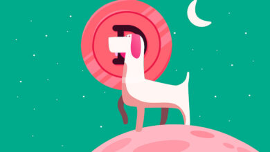 Elon Musk enthüllt, warum er Dogecoin (DOGE) unterstützt, und sagt, er habe nie geraten, in Krypto zu investieren