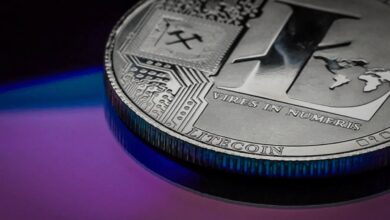 Litecoin MimbleWimble wurde von mehreren Börsen wegen zu hohem Datenschutz dekotiert