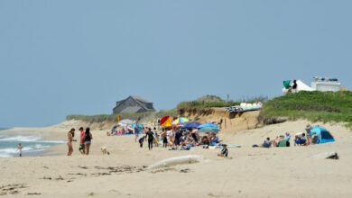 Oben-ohne-Strände erschüttern das traditionelle Nantucket. Divisionen sind entblößt.