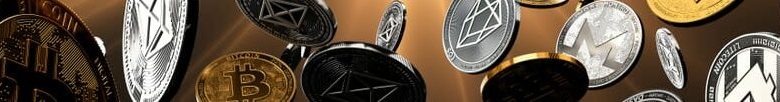 Roiyal Coin Prognose
