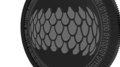 SIRIN LABS (SRN) ist eingebrochen, aber ist der Funke noch da?