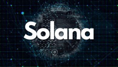 Solana (SOL) steigt, während Bitcoin fällt, aber wie lange?