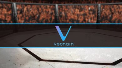 VeChain wird erster Layer-1-Blockchain-Partner von UFC
