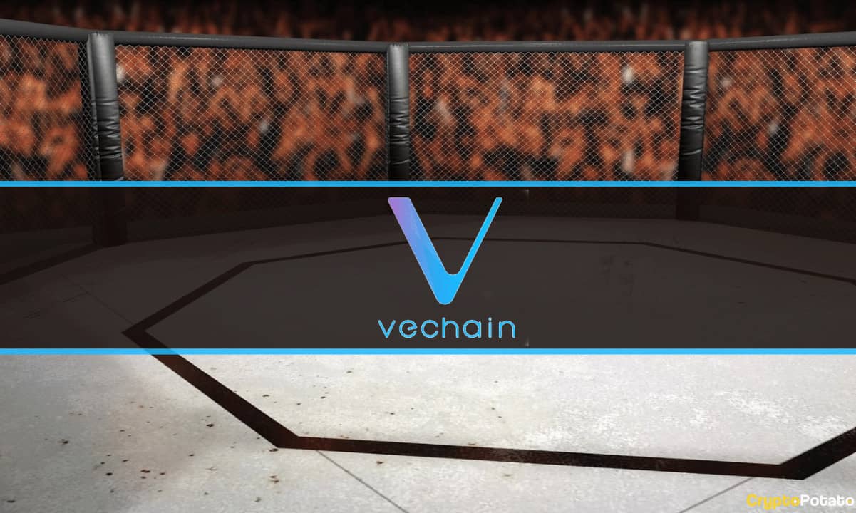 VeChain wird erster Layer-1-Blockchain-Partner von UFC