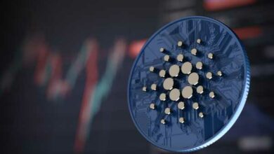 Cardano sinkt um 6,2 %, während der Countdown für die Vasil-Hard-Fork-Aktivierung beginnt