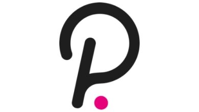 Polkadot macht weiterhin bemerkenswerte Fortschritte