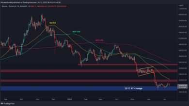 Bärische Zeichen für BTC Reapper, werden 20.000 $ oder mehr Schmerzen vor uns liegen? (Bitcoin-Preisanalyse)