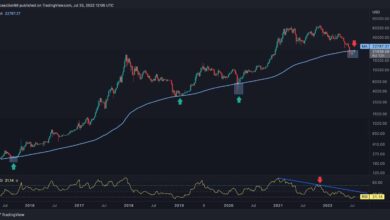 Beobachtet BTC nach dem Einbruch unter 22.000 $ eine weitere Abwärtsbewegung? (Bitcoin-Preisanalyse)