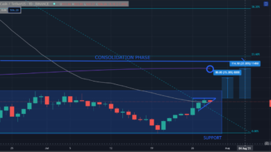 Bitcoin Cash (BCH) erfreut sich eines stetigen Aufwärtstrends, aber wird er sich bald umkehren?