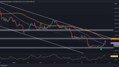 Bitcoin korrigiert in Richtung 22.000 $, aber wie tief kann es gehen? (Bitcoin-Preisanalyse)