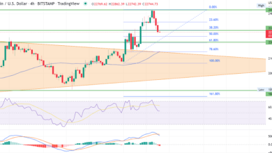 Bitcoin stabil unter 24.000 USD – Warum könnte BTC eine rückläufige Korrektur einleiten?