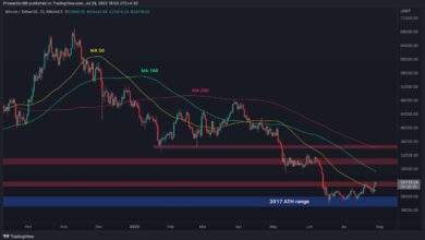 Bitcoin testet $24.000, aber wird die Rallye überhitzt? (BTC-Preisanalyse)