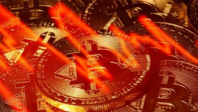 Cryptoverse: Welche Krise? Risikokapitalgeber setzen stark auf Krypto