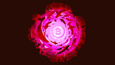 Die BTC-Bestände des reichsten Bitcoin-Wals explodieren auf über 2.560.000.000 $ inmitten eines erneuten Akkumulationswahns