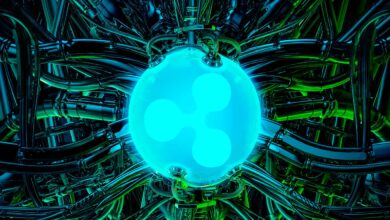 Die neuesten Entwicklungen sind „wirklich gute Nachrichten“ für Ripple und XRP, sagt Coin Bureau Host