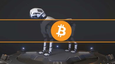 Dieser verzweifelte Mann plant, Roboterhunde zu bauen, um eine Festplatte mit BTC im Wert von 169 Millionen Dollar zu finden (Bericht)