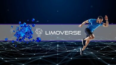 Ein Metaversum, um Wohlstand zu schaffen, indem man gesund bleibt (Interview mit dem Gründer von Limoverse)