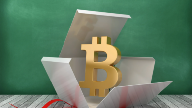 Hat sich Wrapped Bitcoin (WBTC) nach dem gestrigen Flash-Crash vollständig erholt?