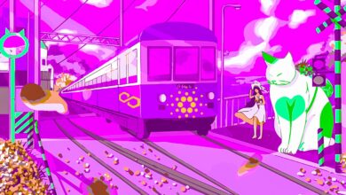 Hier ist, was als nächstes für Polygon, Cardano und drei weitere Altcoins kommt, so Analyst Michaël van de Poppe