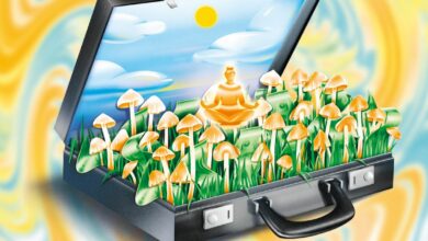 Investoren sehen weit entfernte Gewinne in der psychedelischen Medizin