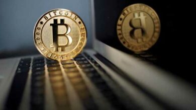 Kryptoverse: Garnelen und Wale halten Bitcoin über Wasser