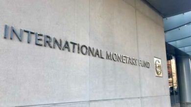 Laut IWF hat der Krypto-Crash den breiteren Finanzmarkt nicht getroffen