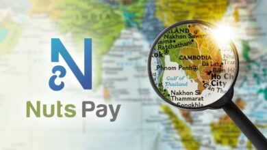 NutsPay und au Web Portal Collaboration