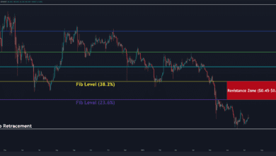 Ripple Preisanalyse: Das ist das XRP Bulls Eye der nächsten Stufe