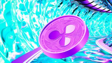 Ripple Sichert Partnerschaft zur Einführung eines neuen NFT-Marktplatzes auf dem XRP-Ledger