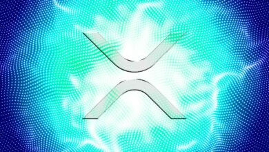 RippleXRP-getriebenes Produkt für grenzüberschreitende Zahlungen verzeichnet 800 % Wachstum trotz laufender SEC-Klage