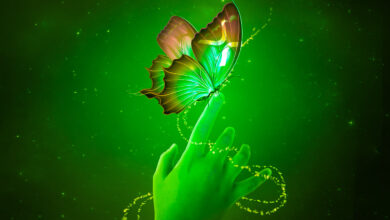 SEC verliert Antrag auf Ausschluss von XRP-Inhabern von der Teilnahme an der Klage der Regulierungsbehörde gegen Ripple