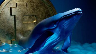 Wale und Hodler: Wie das Festhalten an BTC Sie durch einen Krypto-Winter führen könnte