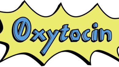 Web3 Product Studio 0xytocin Labs erwirbt NFT-Projekt Chain Pfadfinder